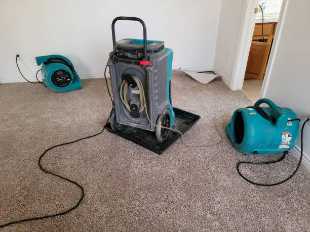 Best Commercial water damage restoration  in North Ogden, UT