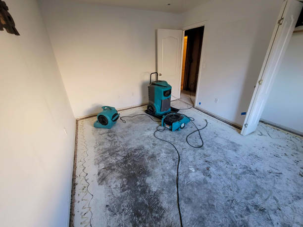 Best Flood damage cleanup  in North Ogden, UT